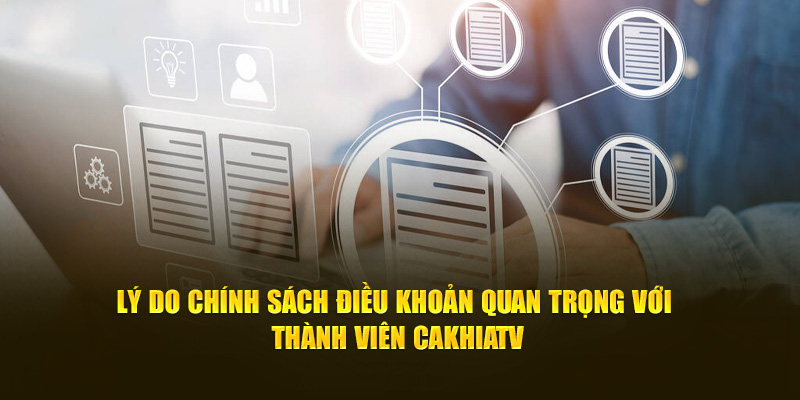 Tại sao lại cần có điều khoản và ý nghĩa là gì?